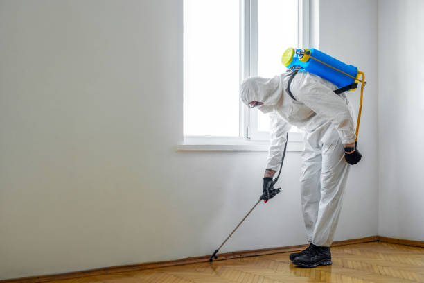 Reliable Cherry Valley, IL Pest Control Solutions