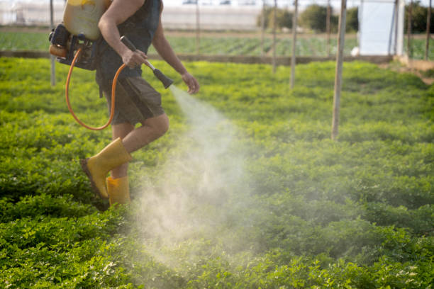 Pest Control Cost in Cherry Valley, IL