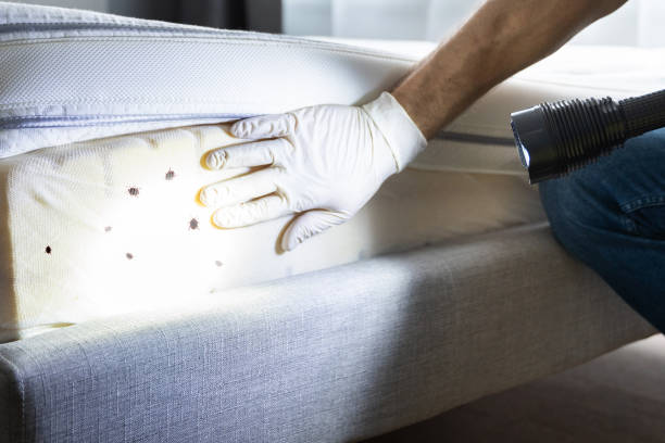 Best Cockroach Control Services  in Cherry Valley, IL