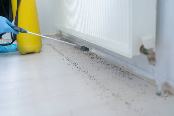 Best Cockroach Control Services  in Cherry Valley, IL