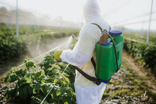 Best Flea Control Services  in Cherry Valley, IL